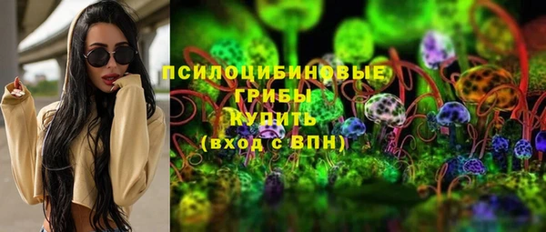 spice Белокуриха